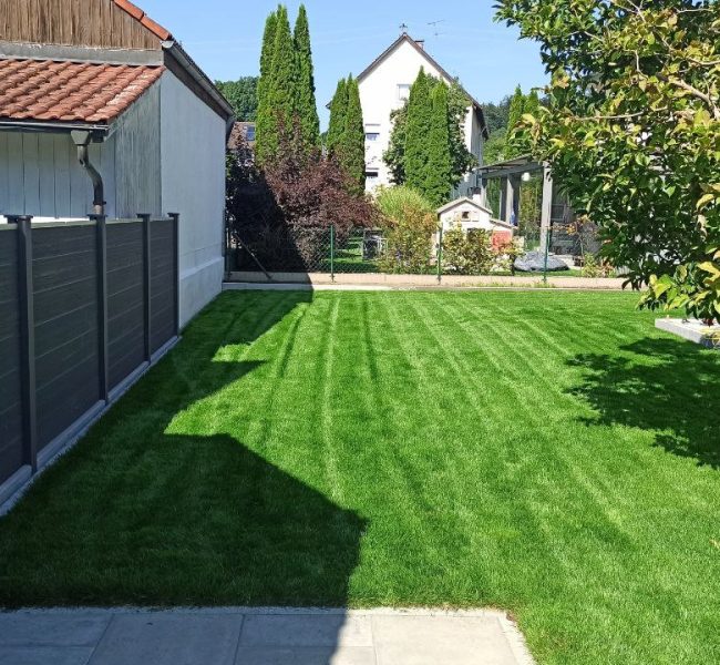 photo_2025-08-17_09-20-43 (2)